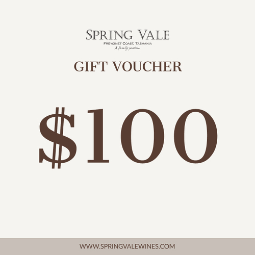 Gift Voucher $100